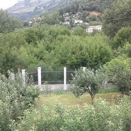 Danijela Apartmani Čanj Buitenkant foto