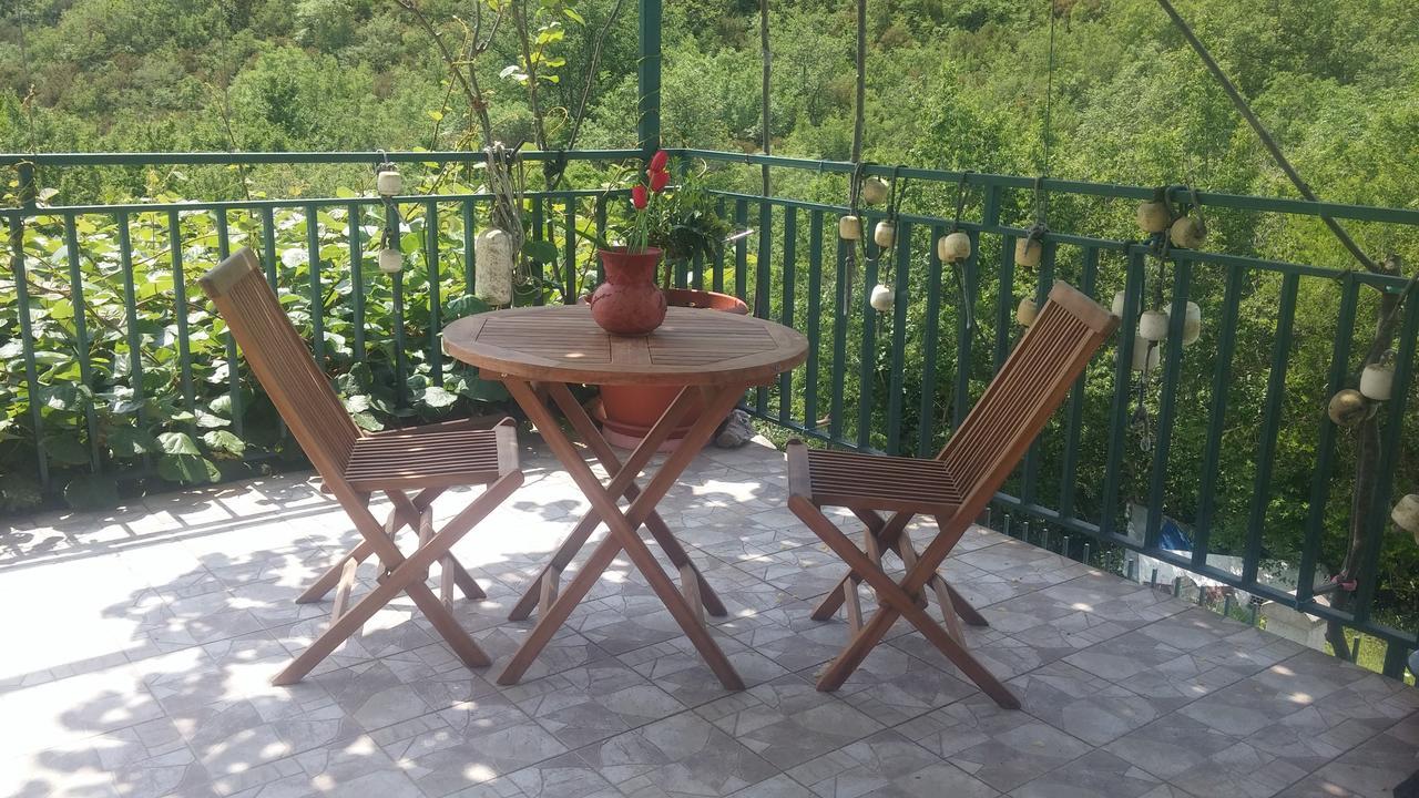 Danijela Apartmani Čanj Buitenkant foto