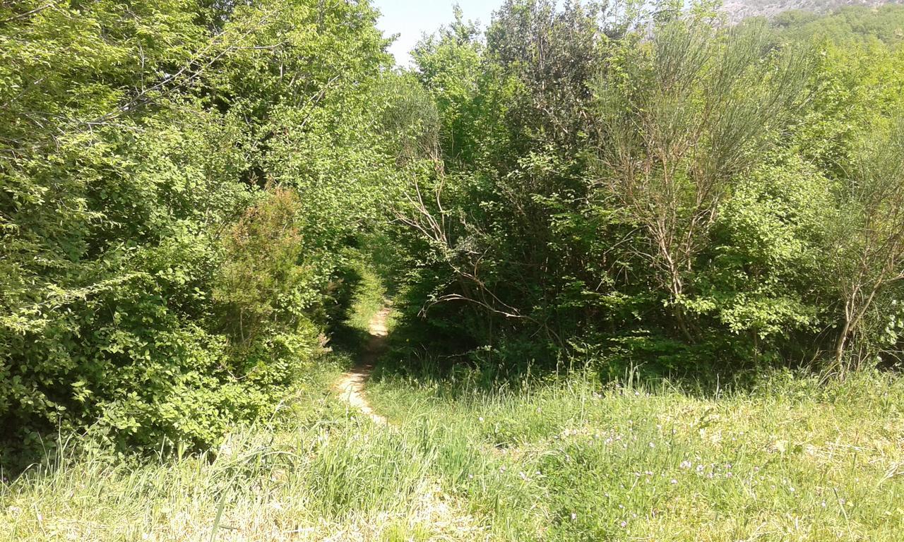 Danijela Apartmani Čanj Buitenkant foto