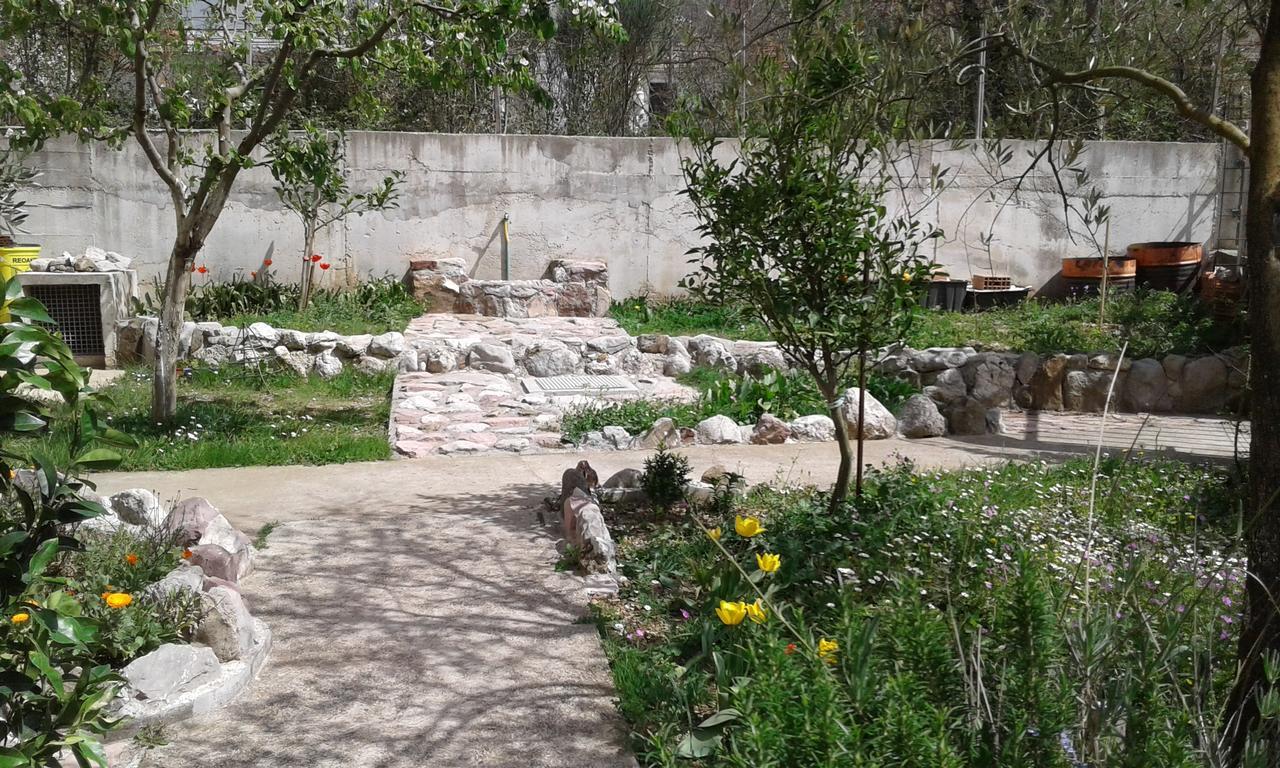Danijela Apartmani Čanj Buitenkant foto