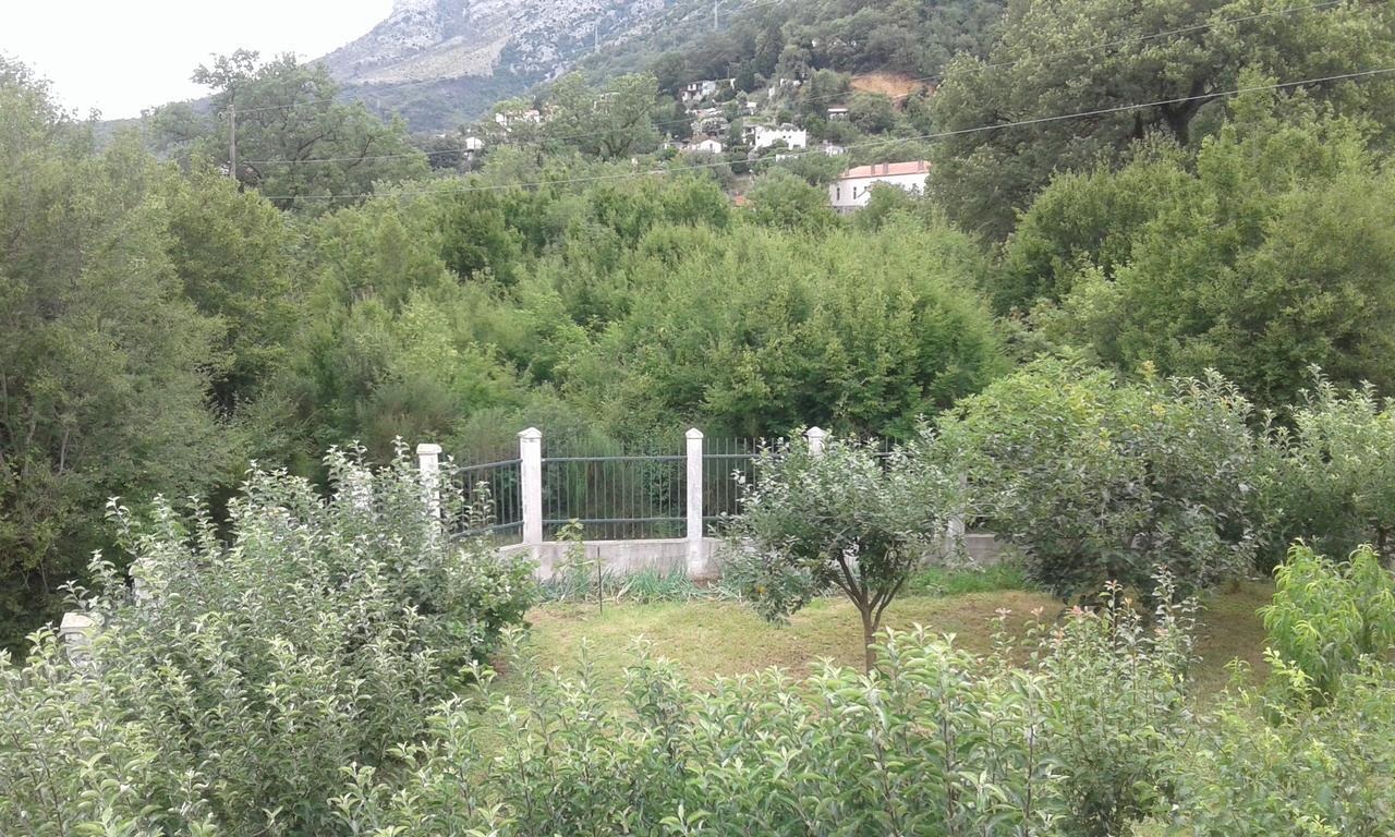 Danijela Apartmani Čanj Buitenkant foto