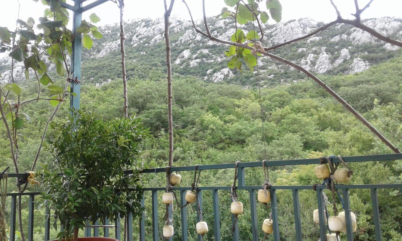 Danijela Apartmani Čanj Buitenkant foto