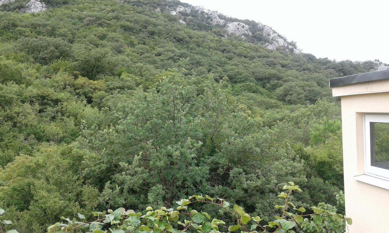 Danijela Apartmani Čanj Buitenkant foto